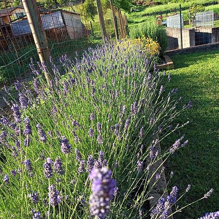 Casa Vacanze La Cicala Pontremoli Zewnętrze zdjęcie