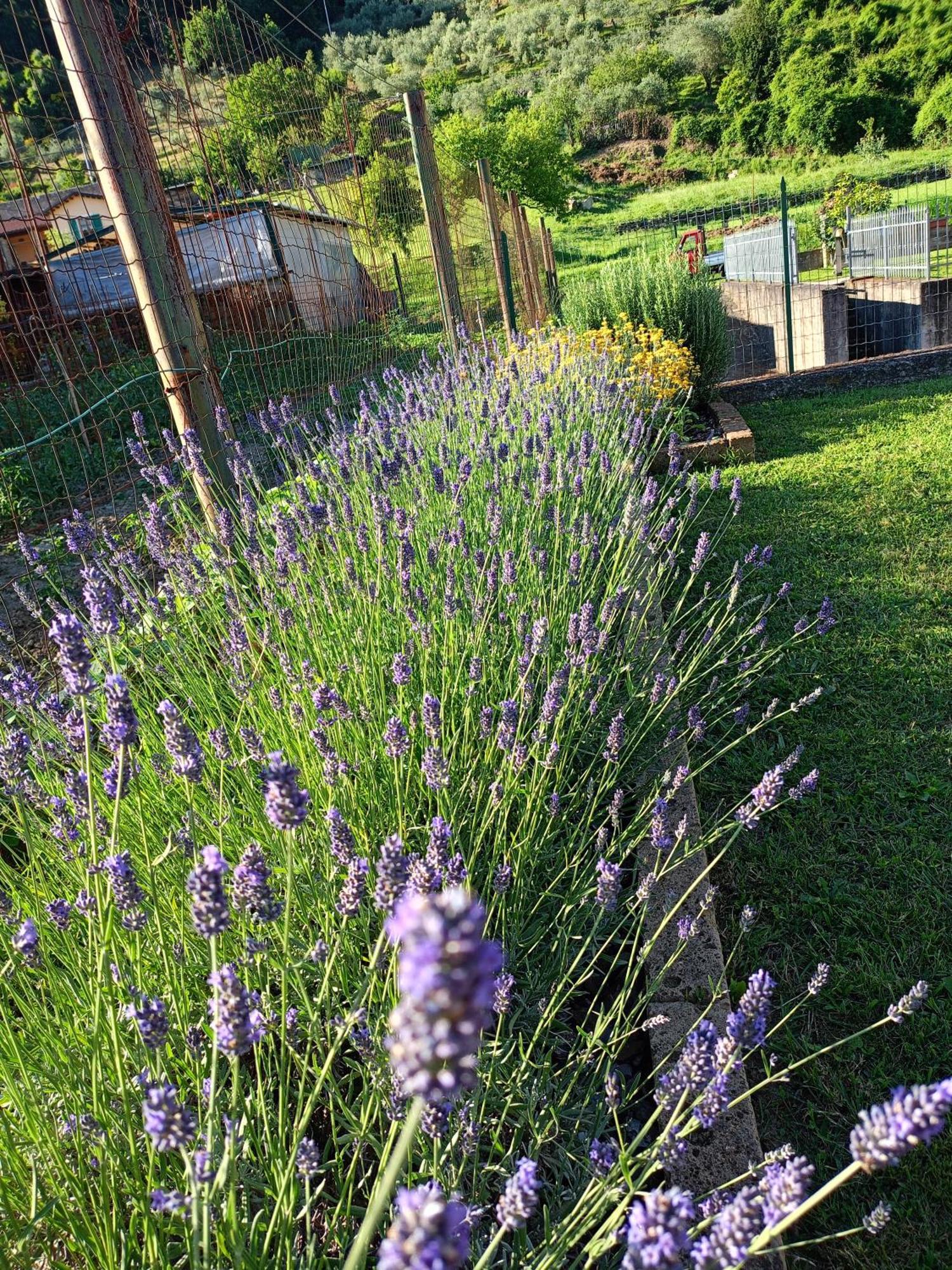 Casa Vacanze La Cicala Pontremoli Zewnętrze zdjęcie